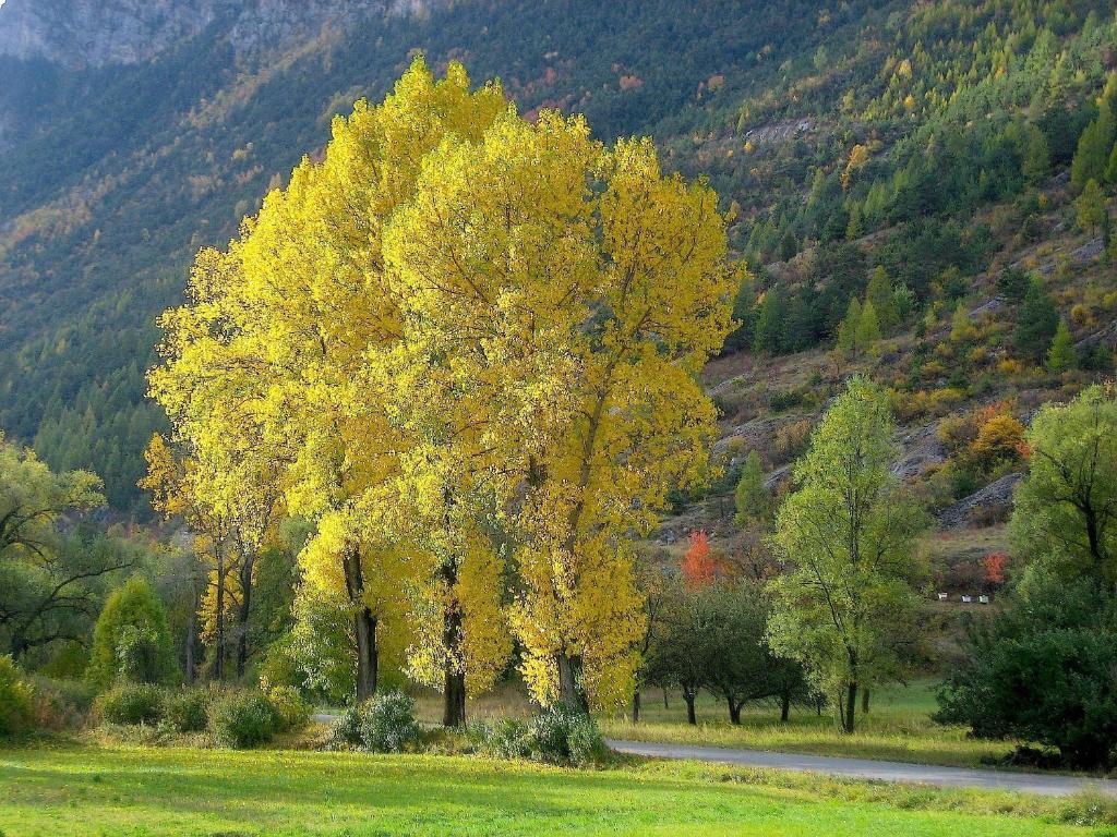 Chambres d'Hôtes la Pierre d'Oran LʼArgentière-la-Bessée Exterior foto